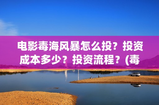 电影毒海风暴怎么投？投资成本多少？投资流程？(毒海风暴 电影)