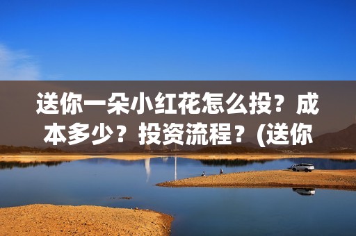 送你一朵小红花怎么投？成本多少？投资流程？(送你一朵小红花电影)