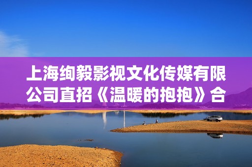 上海绚毅影视文化传媒有限公司直招《温暖的抱抱》合伙人(上海绚毅文化传媒)