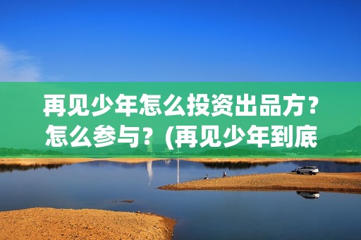 再见少年怎么投资出品方？怎么参与？(再见少年到底怎么了)