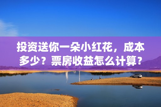 投资送你一朵小红花，成本多少？票房收益怎么计算？(投资送你一朵小红花)