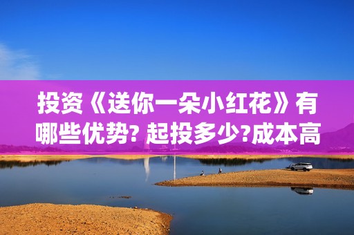 投资《送你一朵小红花》有哪些优势? 起投多少?成本高吗?(送你一朵花投资方)