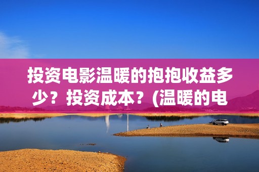 投资电影温暖的抱抱收益多少？投资成本？(温暖的电影名字)