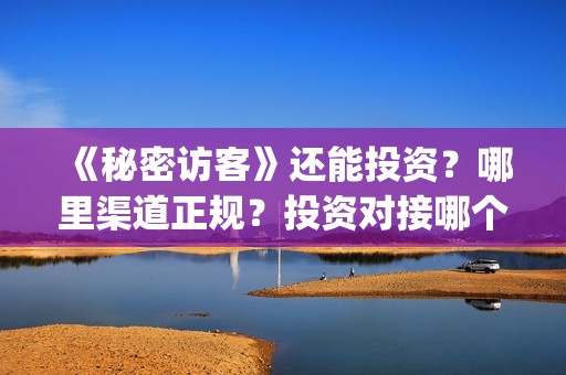 《秘密访客》还能投资？哪里渠道正规？投资对接哪个出品方？(秘密访客讲的什么鬼)