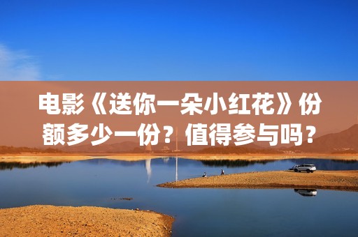 电影《送你一朵小红花》份额多少一份？值得参与吗？(电影送你一朵小花)