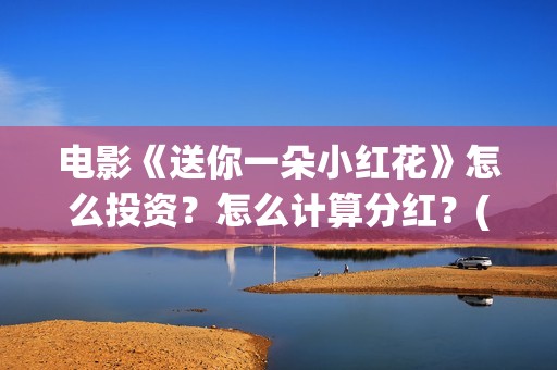 电影《送你一朵小红花》怎么投资？怎么计算分红？(电影送你一朵小红花剧情介绍)