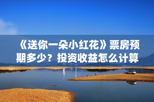 《送你一朵小红花》票房预期多少？投资收益怎么计算？(送你一朵小红花电影免费观看)