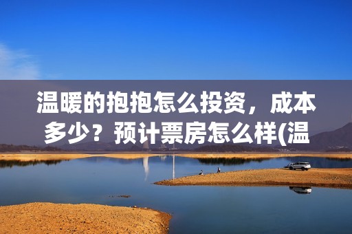 温暖的抱抱怎么投资，成本多少？预计票房怎么样(温暖的抱抱怎么画)