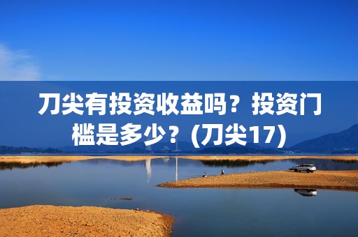 刀尖有投资收益吗？投资门槛是多少？(刀尖17)