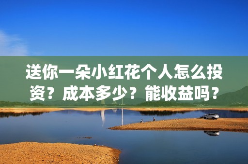 送你一朵小红花个人怎么投资？成本多少？能收益吗？(送你一朵小红花演员表)