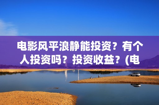 电影风平浪静能投资？有个人投资吗？投资收益？(电影风平浪静是真实案例吗?)