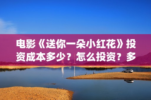 电影《送你一朵小红花》投资成本多少？怎么投资？多少起投？(电影送你一朵小红花观后感)