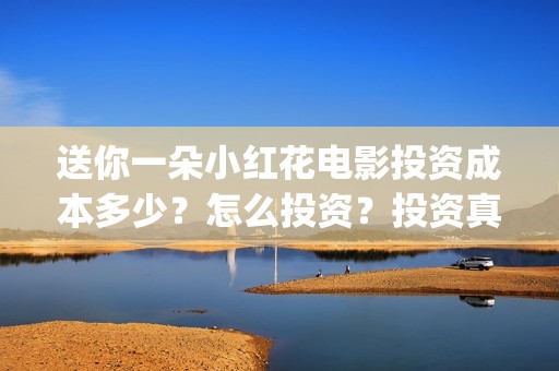 送你一朵小红花电影投资成本多少？怎么投资？投资真实吗？(送你一朵小红花电影剧情介绍)