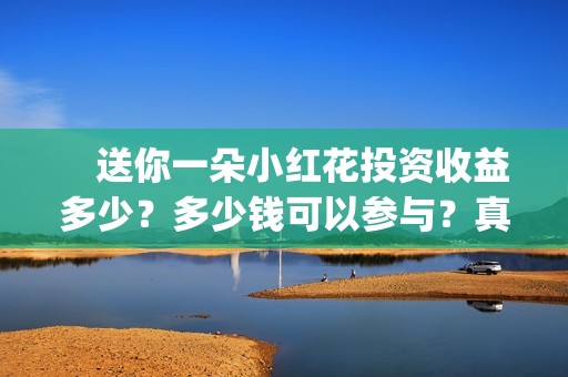 　送你一朵小红花投资收益多少？多少钱可以参与？真实成本多少？(送你一朵小红花电影免费观看)