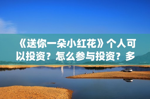 《送你一朵小红花》个人可以投资？怎么参与投资？多少起投？(送你一朵小红花原唱)