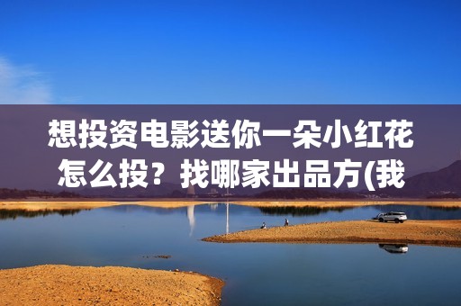 想投资电影送你一朵小红花怎么投？找哪家出品方(我想投资电影)
