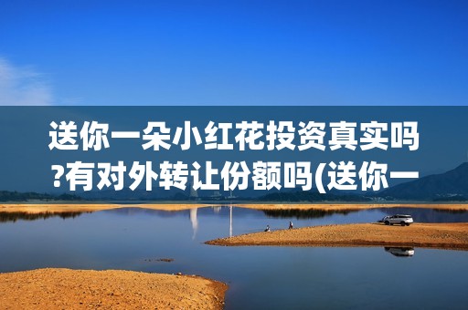 送你一朵小红花投资真实吗?有对外转让份额吗(送你一朵小红花歌词表达什么意思)