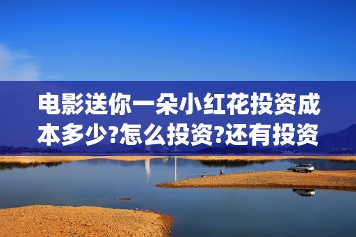 电影送你一朵小红花投资成本多少?怎么投资?还有投资份额吗?(电影送你一朵小红花讲述的主题是抗癌吗)