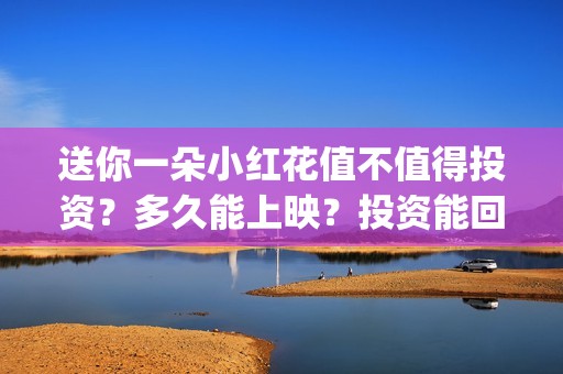 送你一朵小红花值不值得投资？多久能上映？投资能回本吗？(送你一朵小红花电影)