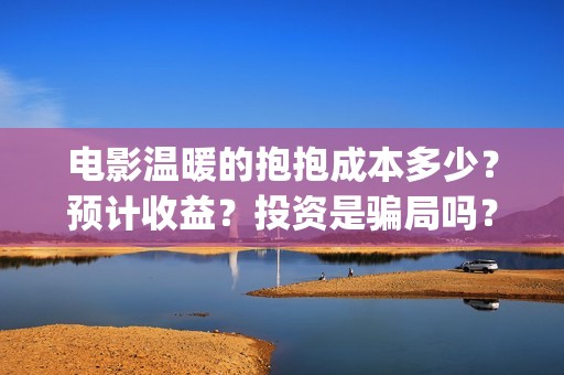 电影温暖的抱抱成本多少？预计收益？投资是骗局吗？(电影温暖的抱抱演员表)