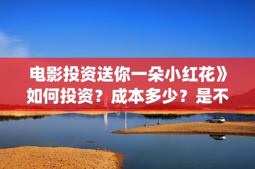 电影投资送你一朵小红花》如何投资？成本多少？是不是可以投资？(投资电影叫什么名字)