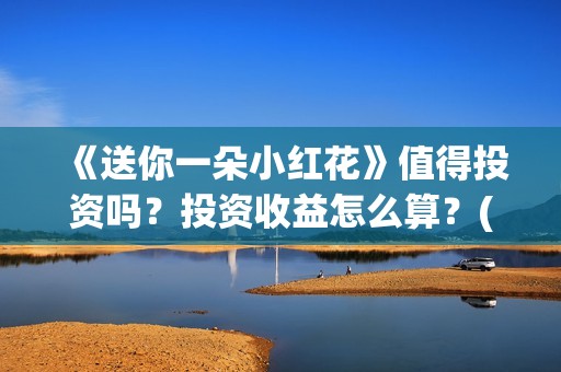《送你一朵小红花》值得投资吗？投资收益怎么算？(送你一朵小红花mp3下载)