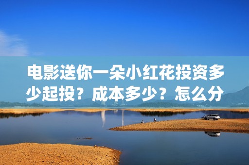 电影送你一朵小红花投资多少起投？成本多少？怎么分红？(电影送你一朵小红花讲述的主题是抗癌吗)