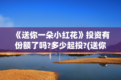 《送你一朵小红花》投资有份额了吗?多少起投?(送你一朵小红花电影免费观看)