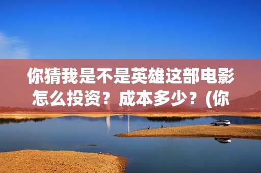 你猜我是不是英雄这部电影怎么投资？成本多少？(你猜我是不是英雄)