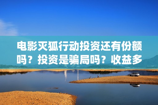 电影灭狐行动投资还有份额吗？投资是骗局吗？收益多少？(灭狐行动主演)