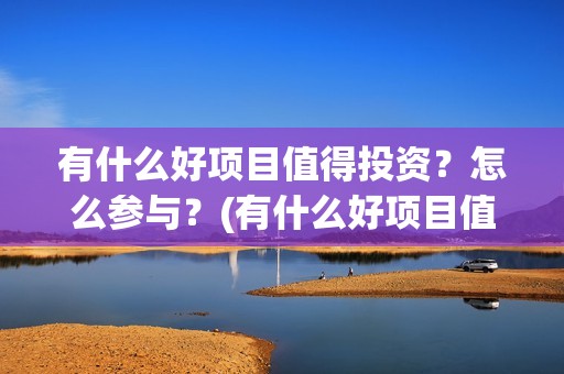 有什么好项目值得投资？怎么参与？(有什么好项目值得做)