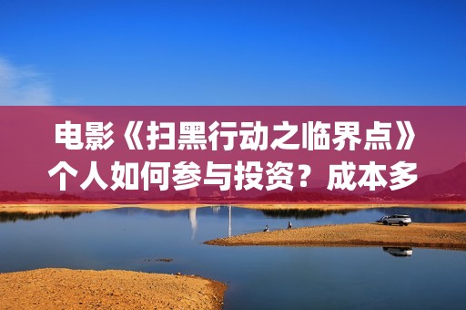 电影《扫黑行动之临界点》个人如何参与投资？成本多少？还有份额吗？(电影扫黑行动免费观看完整版)