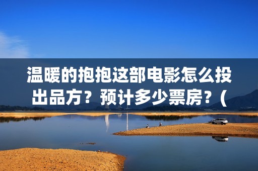 温暖的抱抱这部电影怎么投出品方？预计多少票房？(温暖的抱抱是什么剧情)