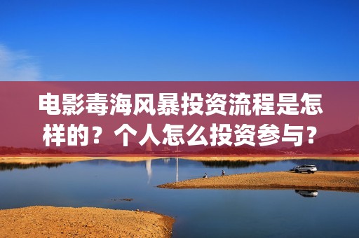 电影毒海风暴投资流程是怎样的？个人怎么投资参与？(毒海风暴上映时间)