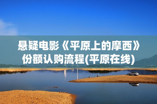 悬疑电影《平原上的摩西》份额认购流程(平原在线)