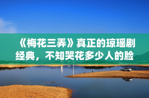 《梅花三弄》真正的琼瑶剧经典，不知哭花多少人的脸(梅花三弄mv)