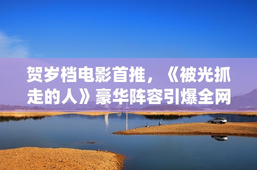 贺岁档电影首推，《被光抓走的人》豪华阵容引爆全网(贺岁档电影排行榜)