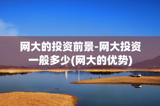 网大的投资前景-网大投资一般多少(网大的优势)
