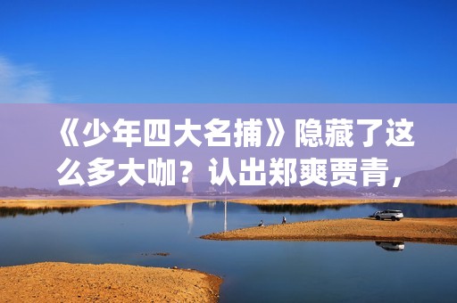《少年四大名捕》隐藏了这么多大咖？认出郑爽贾青，却没认出她！(少年四大名捕林峰)