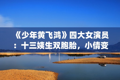 《少年黄飞鸿》四大女演员：十三姨生双胞胎，小倩变美，最红是她(少年黄飞鸿之铁马骝免费观看)