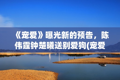 《宠爱》曝光新的预告，陈伟霆钟楚曦送别爱狗(宠爱ing)