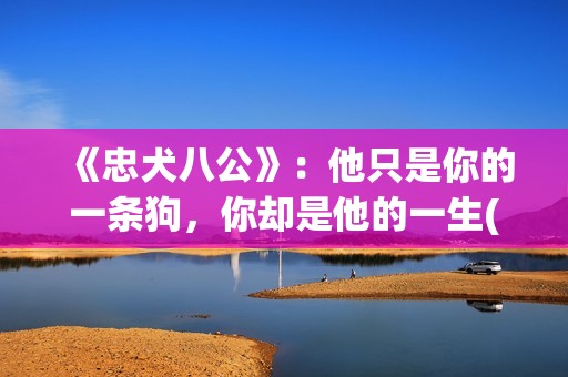 《忠犬八公》：他只是你的一条狗，你却是他的一生(忠犬八公导演是谁)