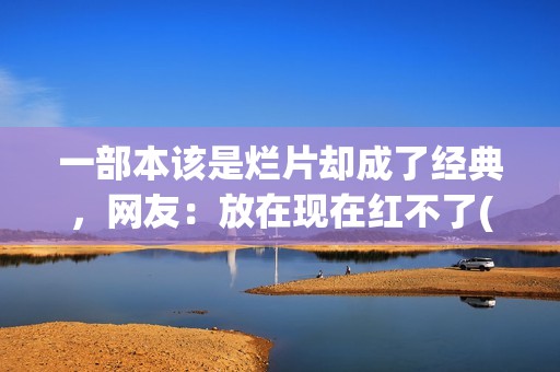 一部本该是烂片却成了经典，网友：放在现在红不了(一部本该是烂片的电视剧)