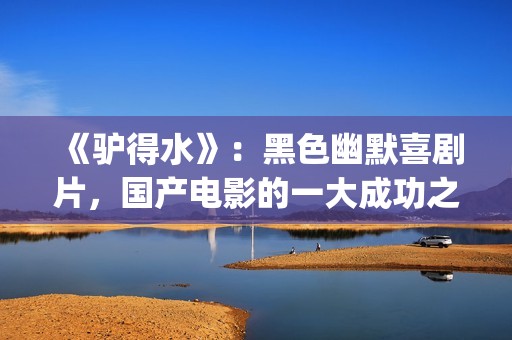 《驴得水》：黑色幽默喜剧片，国产电影的一大成功之作！(驴得水背后深层含义)