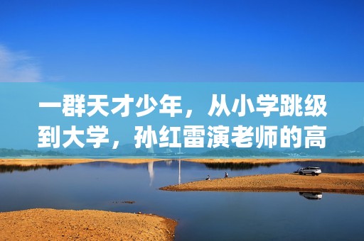 一群天才少年，从小学跳级到大学，孙红雷演老师的高分小众电影(一群天才少年的小说)