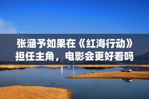 张涵予如果在《红海行动》担任主角，电影会更好看吗？(怎么评价张涵予)
