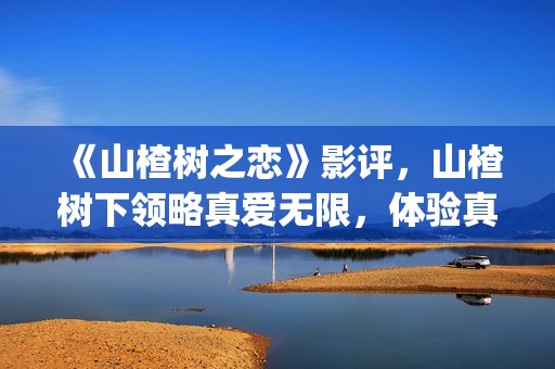 《山楂树之恋》影评，山楂树下领略真爱无限，体验真爱真情(山楂树之恋电视剧在线观看完整版免费)