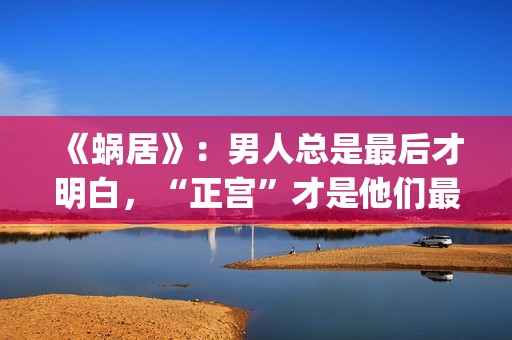《蜗居》：男人总是最后才明白，“正宫”才是他们最坚定的同盟(蜗居男女)