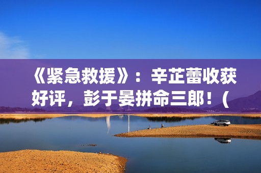 《紧急救援》：辛芷蕾收获好评，彭于晏拼命三郎！(紧急救援协助异常 宝马)