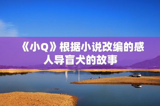 《小Q》根据小说改编的感人导盲犬的故事